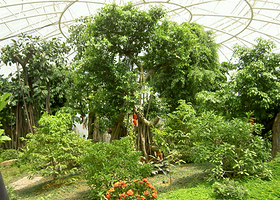 食益有机生态庄园