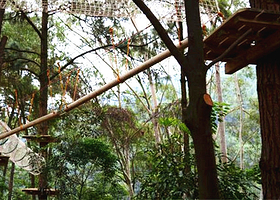 飞越丛林冒险乐园