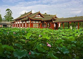 海口荷塘印象休闲农庄