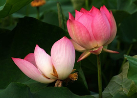 双龙湖湿地公园