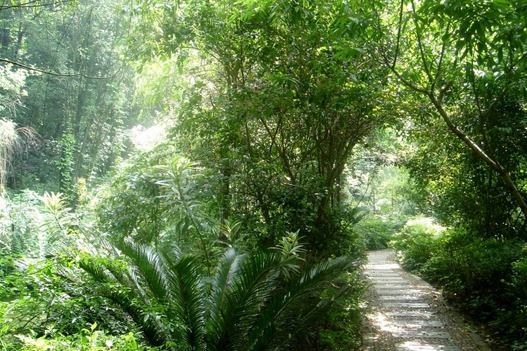 桂林园林植物园旅游