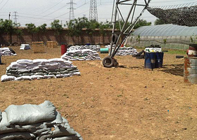 通州台湖真人CS基地