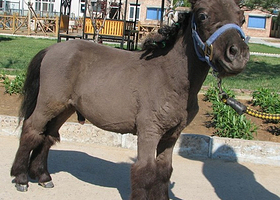 北京瑞尔动物园