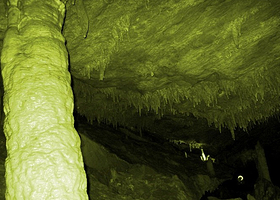 龙眼洞森林公园