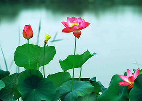 龙湖国家湿地公园