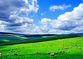 白音乌拉游牧文化区