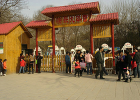 兴庆宫快乐大本营