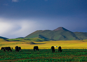 海子湖金马度假村