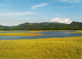 凤凰湖寻皇大草原千色花海