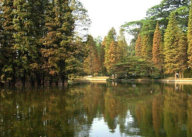 天河公园魔法森林