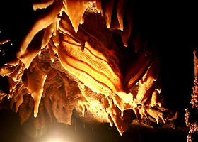 鲢鱼化石博物馆