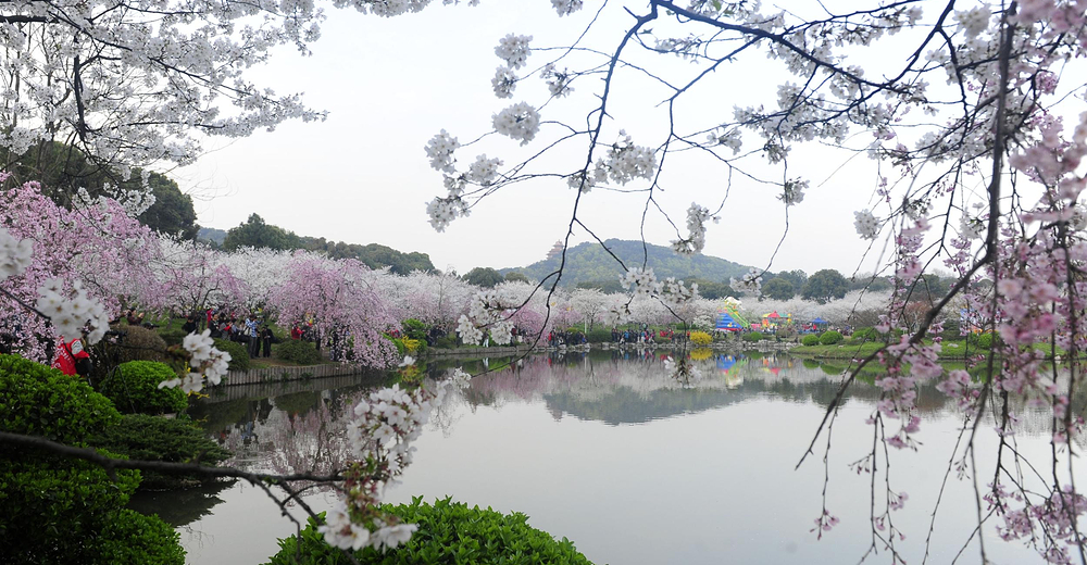 武汉植物园成人票预订成功后2小时取票入园不支持立即取票1630停止