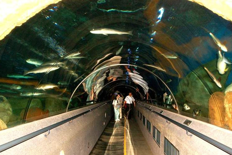 亚洲最长海底通道旅游