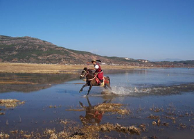 拉市海海北恩宗三队骑马场
