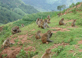 宝鼎生态旅游区