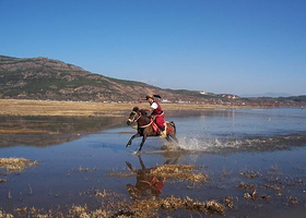 拉市海掌拉市八队马场