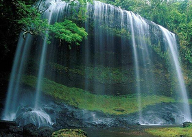 桃花源海鲜食府(迎春路店)