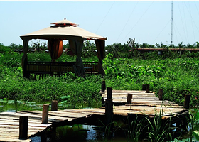 天津东淀生态农庄