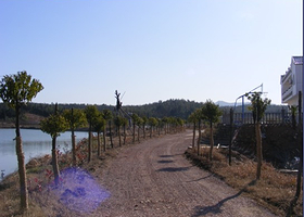 宣木瓜文化景区