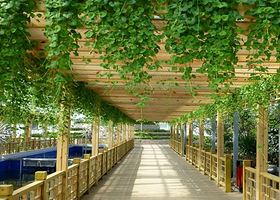 夏庄四季生态采摘园