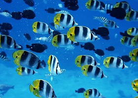 黑龙江省博物馆海洋世界