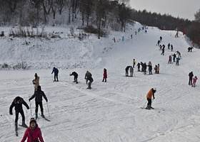 金霖森林公园滑雪场