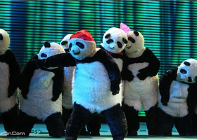 大型舞台功夫剧《熊猫》