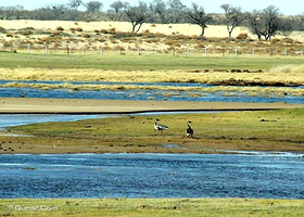 运城湿地自然保护区