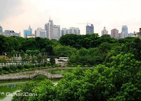 金盆岭九号晋墓