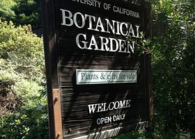 伯克利植物园