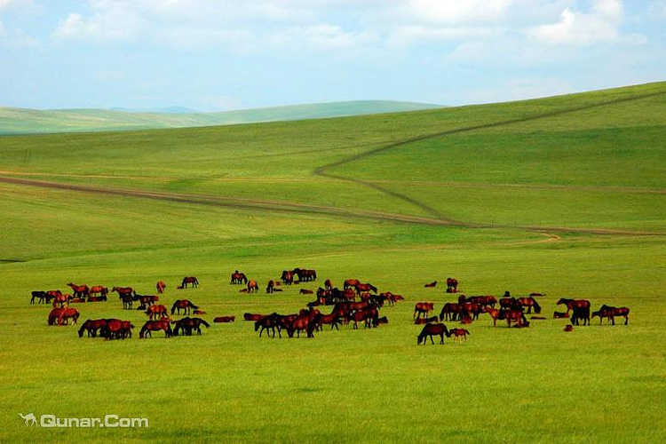 呼和诺尔草原旅游