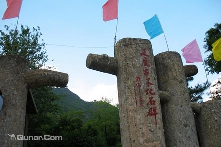 古木化石群旅游