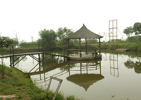 龙头湾野外运动场