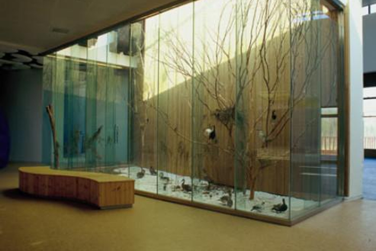 鸟类博物馆旅游