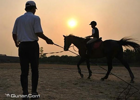 英姿马术俱乐部