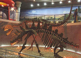 安徽古生物陈列