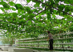 农业高新技术示范园区