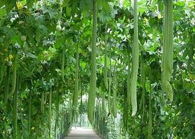 宜兴观光农业科技示范园