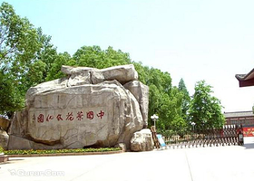 中国茶花文化园