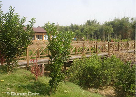 埔田农业观光区