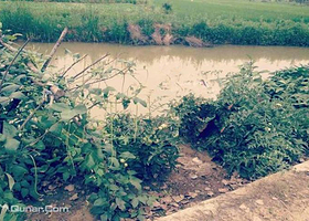 殷家墩古代文化遗址