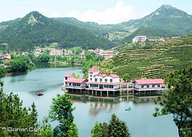 乌云山茶叶公园