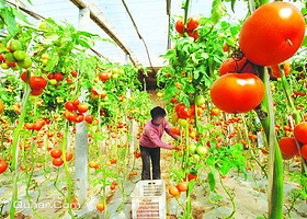 永发诚信蓄牧生态园