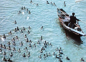 天河鱼乐水乡景区