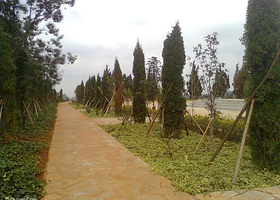 祭虫山森林公园