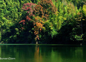 黄桑自然保护区