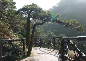 三青山马铃薯生态园