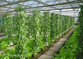 浒山现代农业示范园