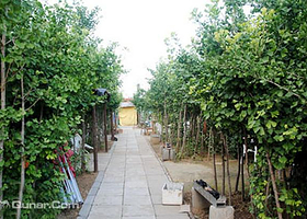 水上人家农家院