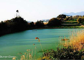 十里金沙垂钓园